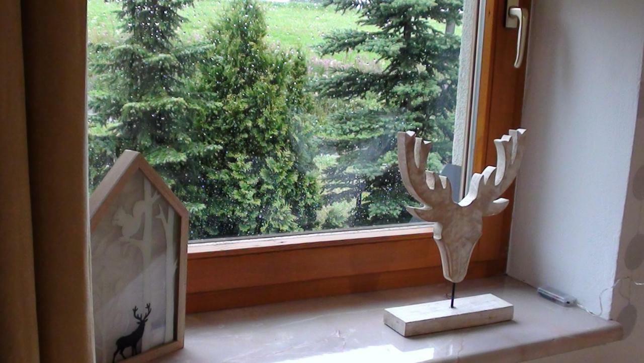 Natura Homestay Gliczarow