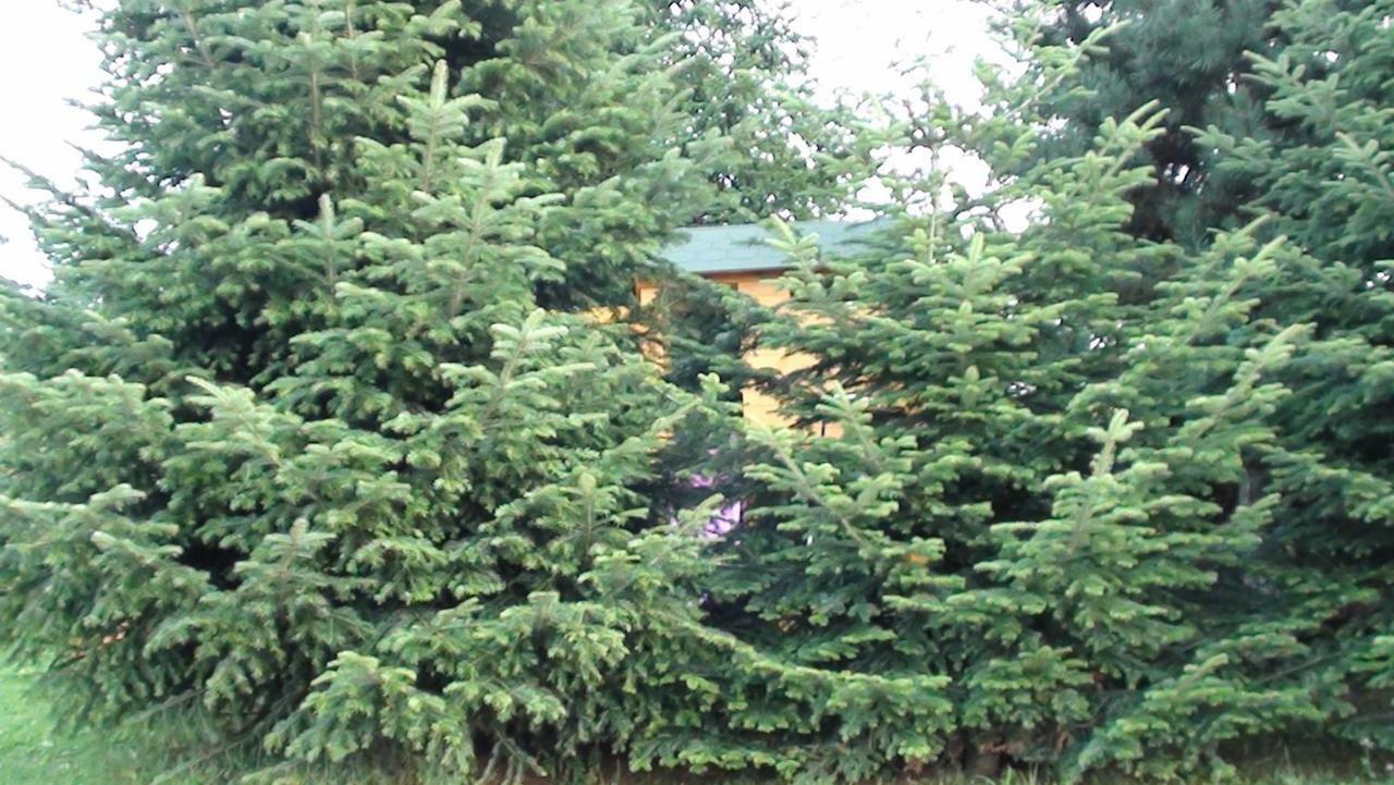 Homestay Natura